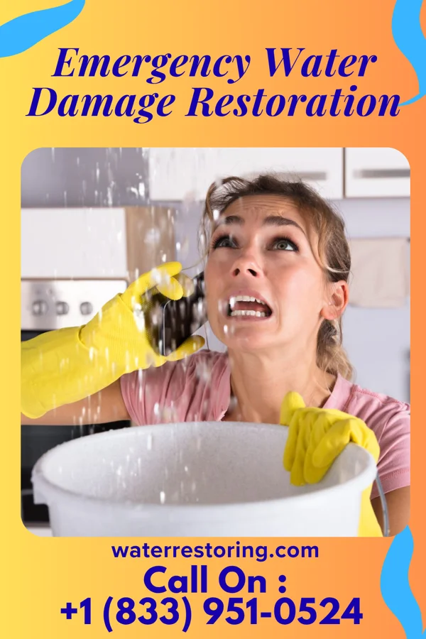 Emergency Water Damage Restoration in Buchanan, VA