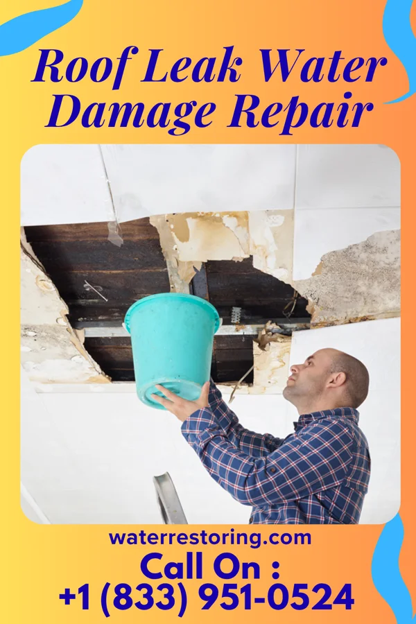 Roof Leak Water Damage Repair in Buchanan, VA