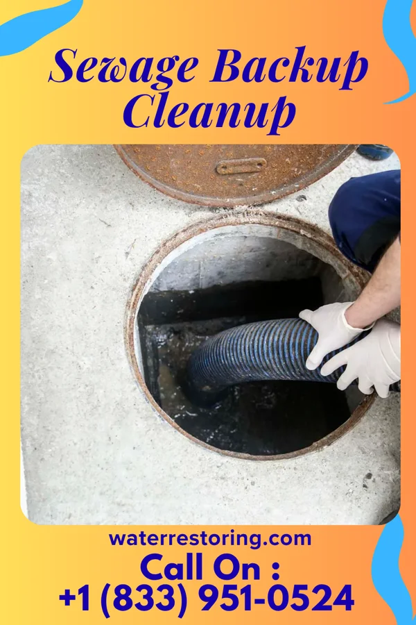 Sewage Backup Cleanup in Buchanan, VA
